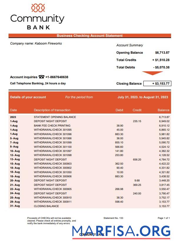 Realistic Community Bank Business statement Word and PDF template